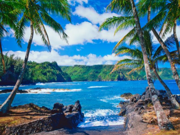 Hawaii Islands during Spring
