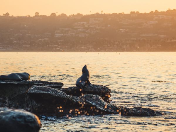 La Jolla San Diego