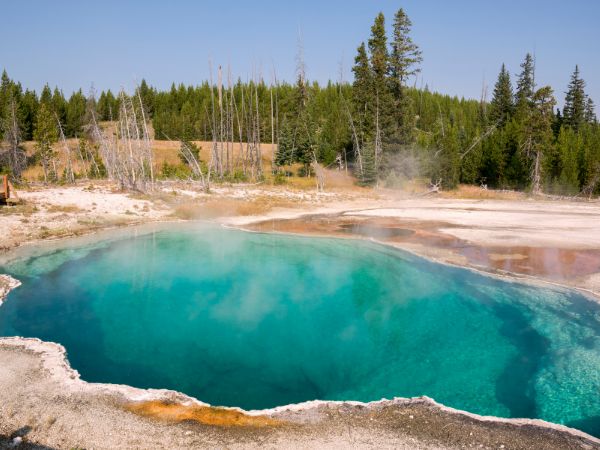 Yellowstone National Park in the USA