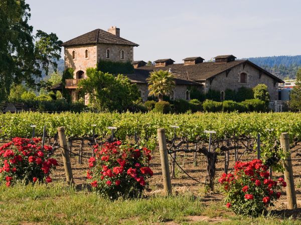 Downtown Napa Valley California
