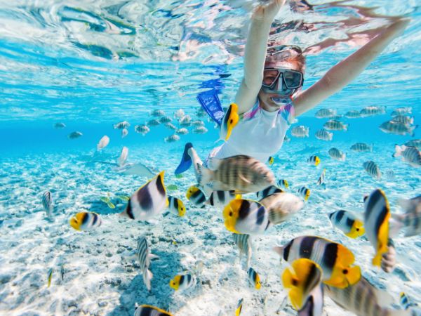 Snorkeling in Maldives